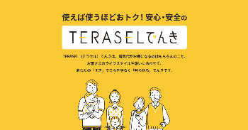 TERASELでんき